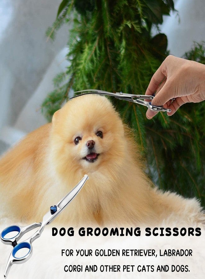 DreamAug “6.5”Curved Dog Grooming Scissors with Safety Round Tips – Professional Pet Hair Cutting Shears for Dogs & Cats, Stainless Steel Pet Grooming Tool for Home & Salon Use - Image 4